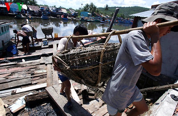 Fischsoßenherstellung in Phu Quoc - ảnh 2